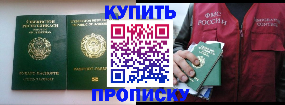 где прописаться в Димитровграде